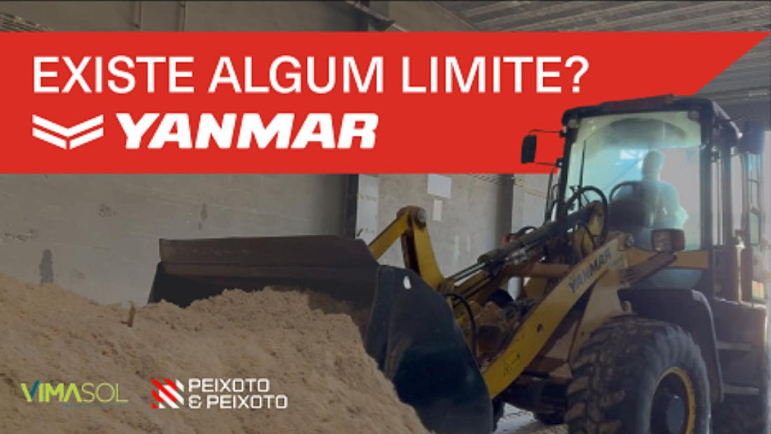 Yanmar V80 - Existe algum limite?